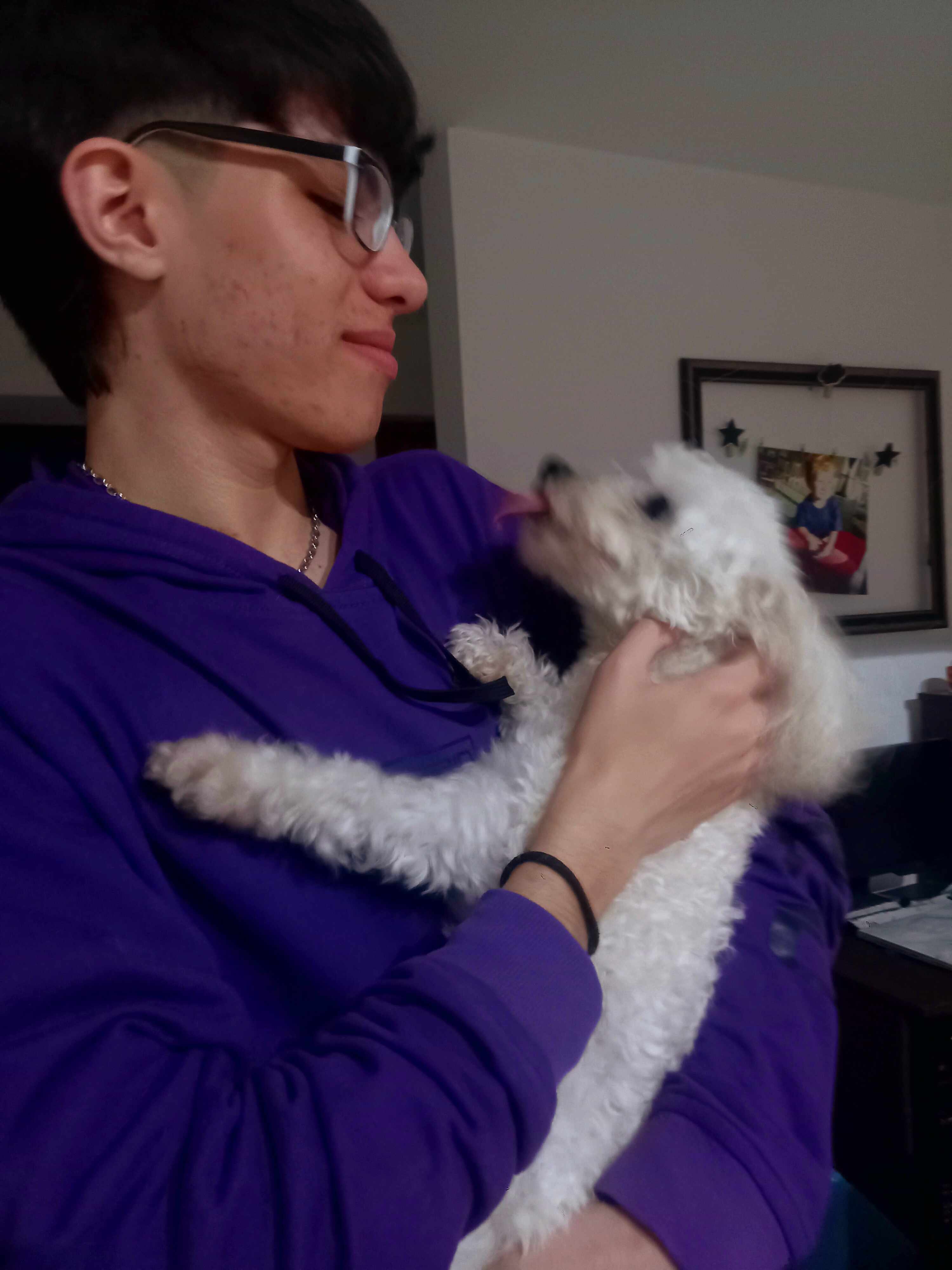 Perrito 8